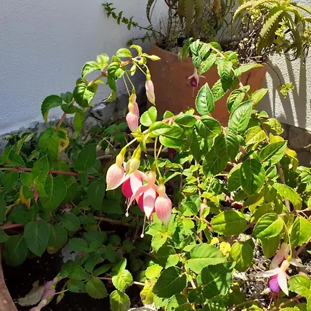 דירה Casa Belo Horizonte