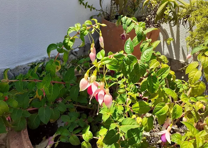 דירה Casa Belo Horizonte