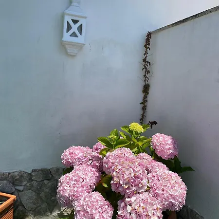 شقة Casa Belo Horizonte *