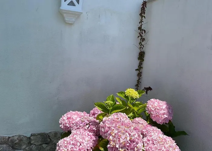 Appartamento Casa Belo Horizonte *